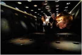 ciama-photo.aseptic.ro Ciama