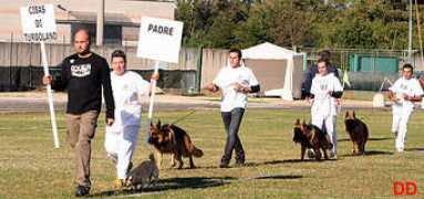 win.campionatoallevamentosas.com Cibas