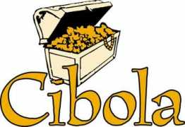 cnnn.com Cibola