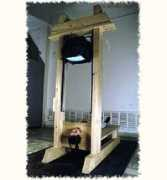 arta.neonet.md Cibotaru