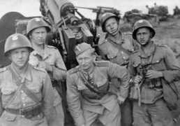 infowsparcie.net Cichorski