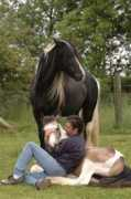 gypsymvp.com Cigano