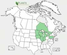 ontariowildflowers.com Cihi