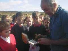 ireland.iol.ie Cilian