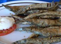 Cilio