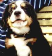 Cilla