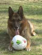 Cimon