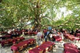 aktifhaber.com Cinari