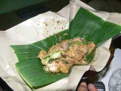 diditkurniawan.web.ugm.ac.id Cingur
