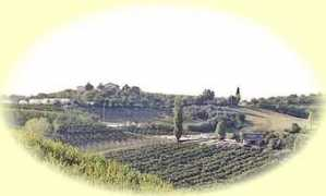 ciolacorniale.it Ciola