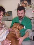ecovet.ro Ciolea