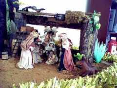 fotos.navidaddigital.com Cipote