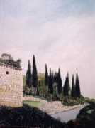 digilander.libero.it Cipressi