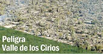 Cirios