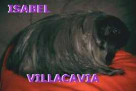 villacavia.nl Cisabel