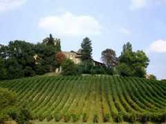 panoramio.com Cisiano