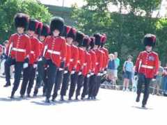 michelestapleton.com Citadelle