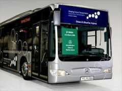 treehugger.com Citaro
