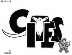 Cites