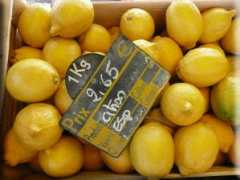 provence.perso.sfr.fr Citron