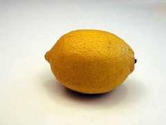 fotoakuten.se Citron