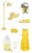 unruly-things.com Citron