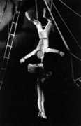 circusfans.net Ciucalau