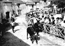 venafro.info Ciucci