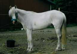 Claara