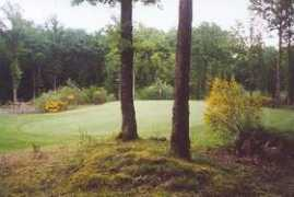 golflounge.com Clairis