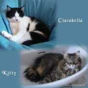 lnx.micimiao.it Clarabella