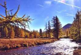 claude.hinsinger.free.fr Claree