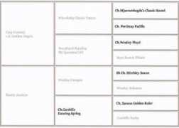 ivoryblaze.nl Clareen