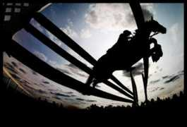 sportsshooter.com Clarica