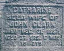 freepages.genealogy.rootsweb.ancestry.com Clarkc