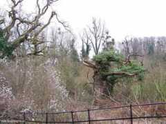 bristoljpg.co.uk Clarken