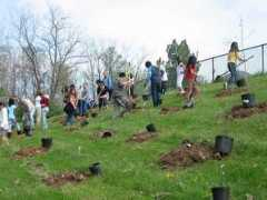 stadlergardencenters.com Clarksburg
