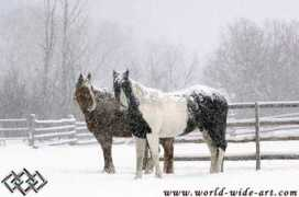 world-wide-art.com Clasen