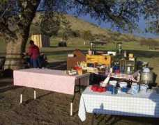 johnstonhorsecamp.com Claudias