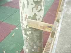 laregion.es Clavan