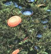 roundwoodshooting.co.uk Clays
