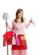 Cleaninglady