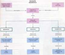 html.rincondelvago.com Cleantes