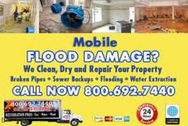 floodcleanupmobile.com Cleanup
