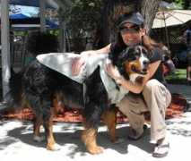 bmd.org Clemintine