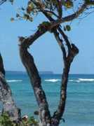 beach.gp.free.fr Clemire