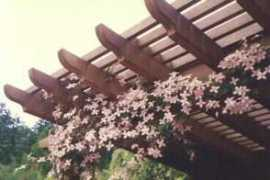 gardenaesthetics.com Clemont