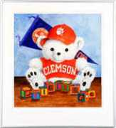 Clemso