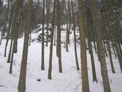 treking.cz Clenita