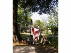 gainesvilletimes.com Cleonard